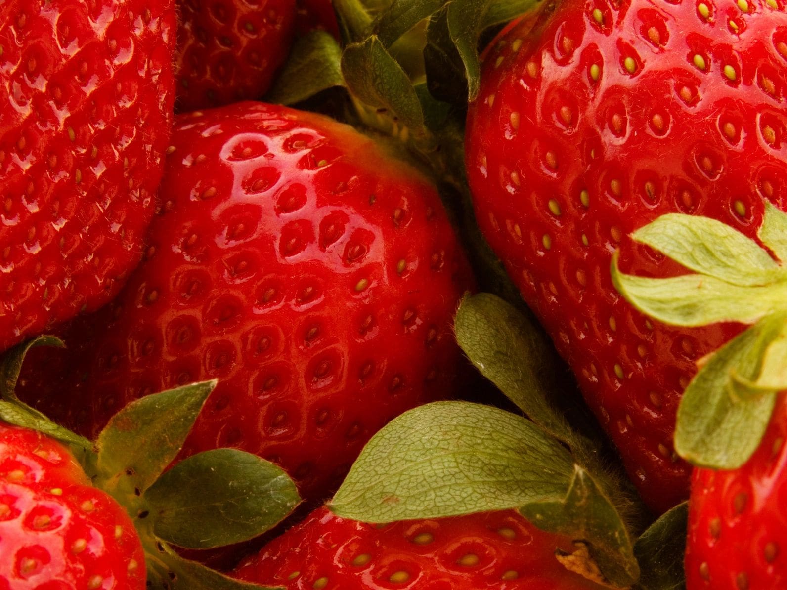 A close up of some strawberries with leaves